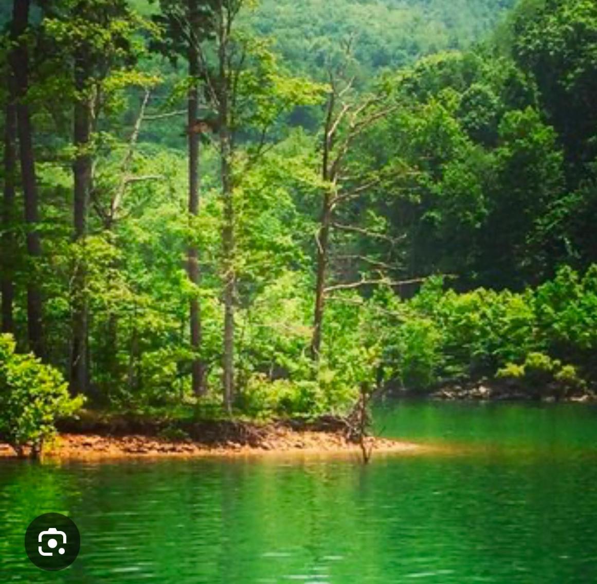Monarch Mountain Cabins Cabin A Tennessee Thyme Elizabethton Buitenkant foto